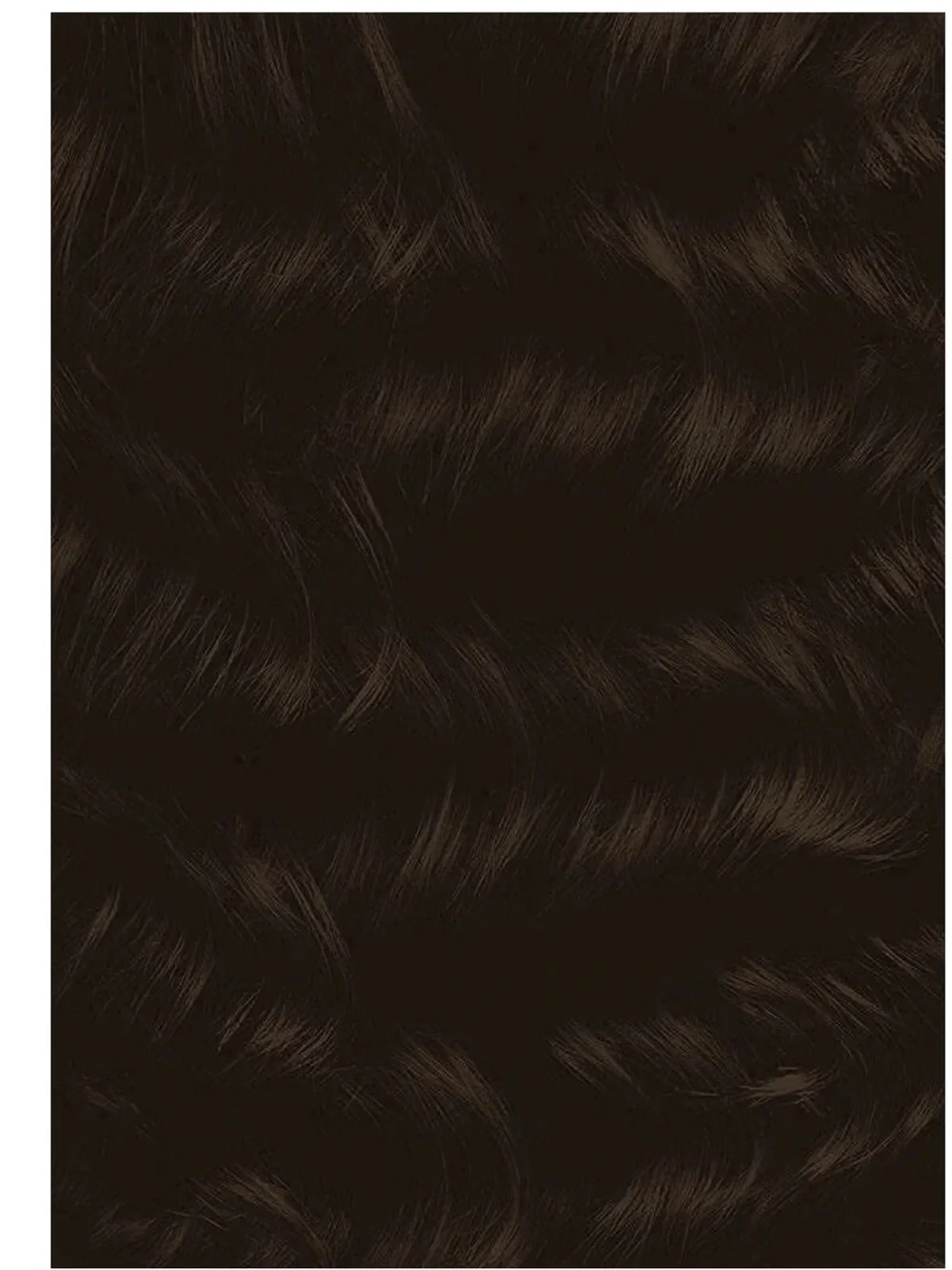 Argan Oil Fast 10 Permanent Hair Color Kit — 1N Very Black